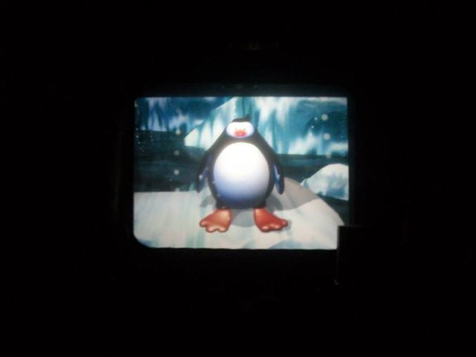 penguin talk show