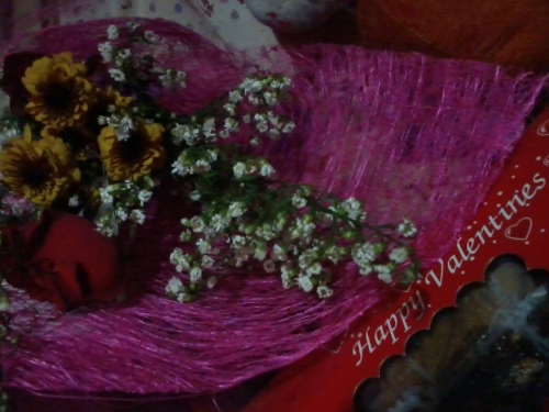 My Valentine Stuffs :)
